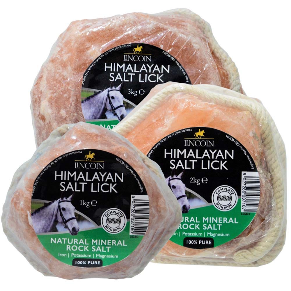 lincoln himalayan salt lick