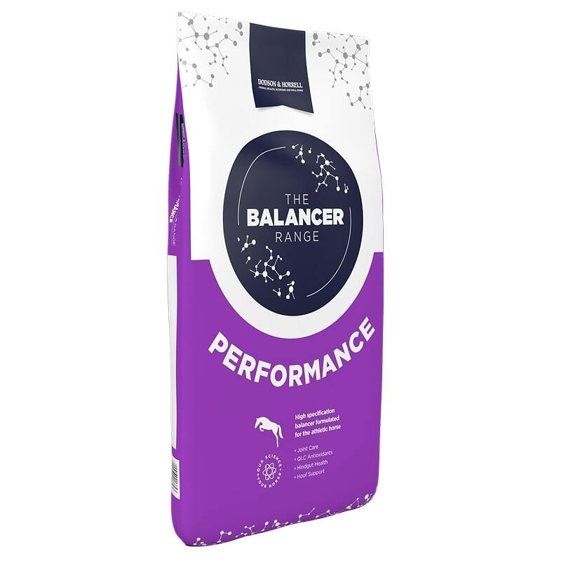 D & H Performancer Balancer 15 kg