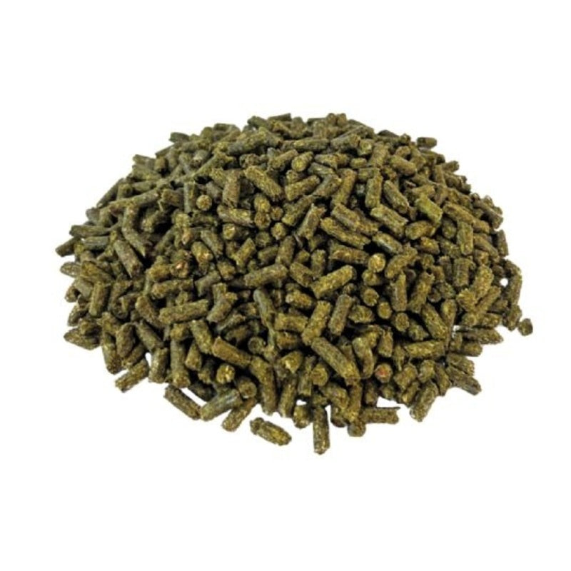 Simple System Stud Balance +