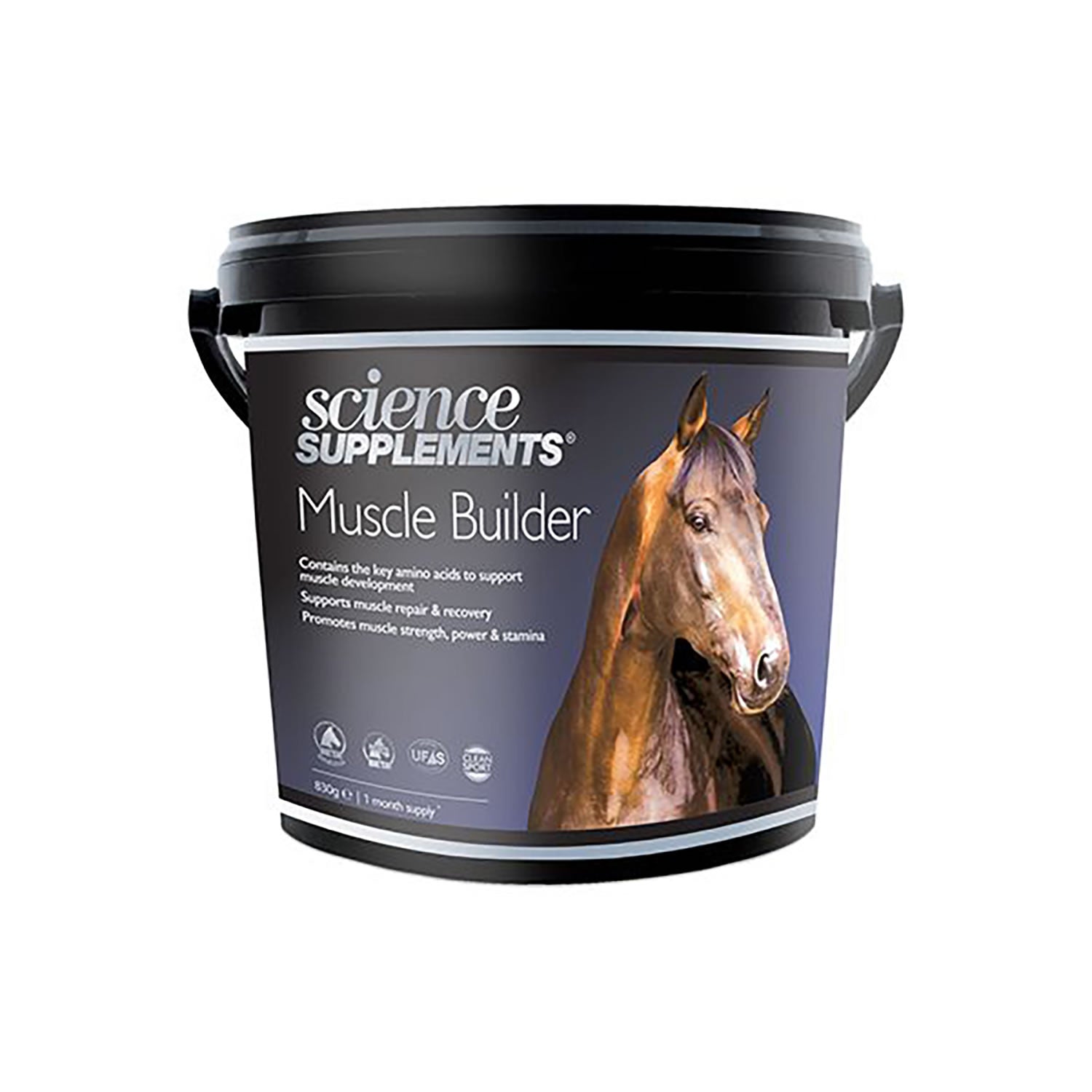 science supplements muscle builder
