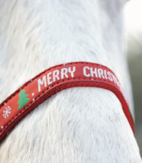 Hy Equestrian Merry Christmas Head Collar & Lead Rope