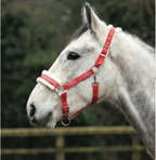 Hy Equestrian Christmas Santa Head Collar