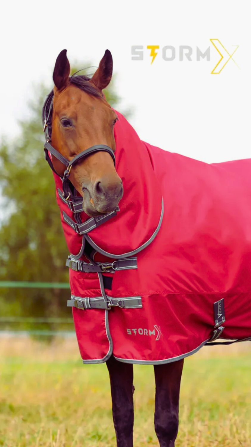 Stormx Empra Turnout Rug