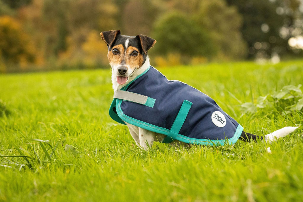 Swish Waterproof Dog Coat - Navy