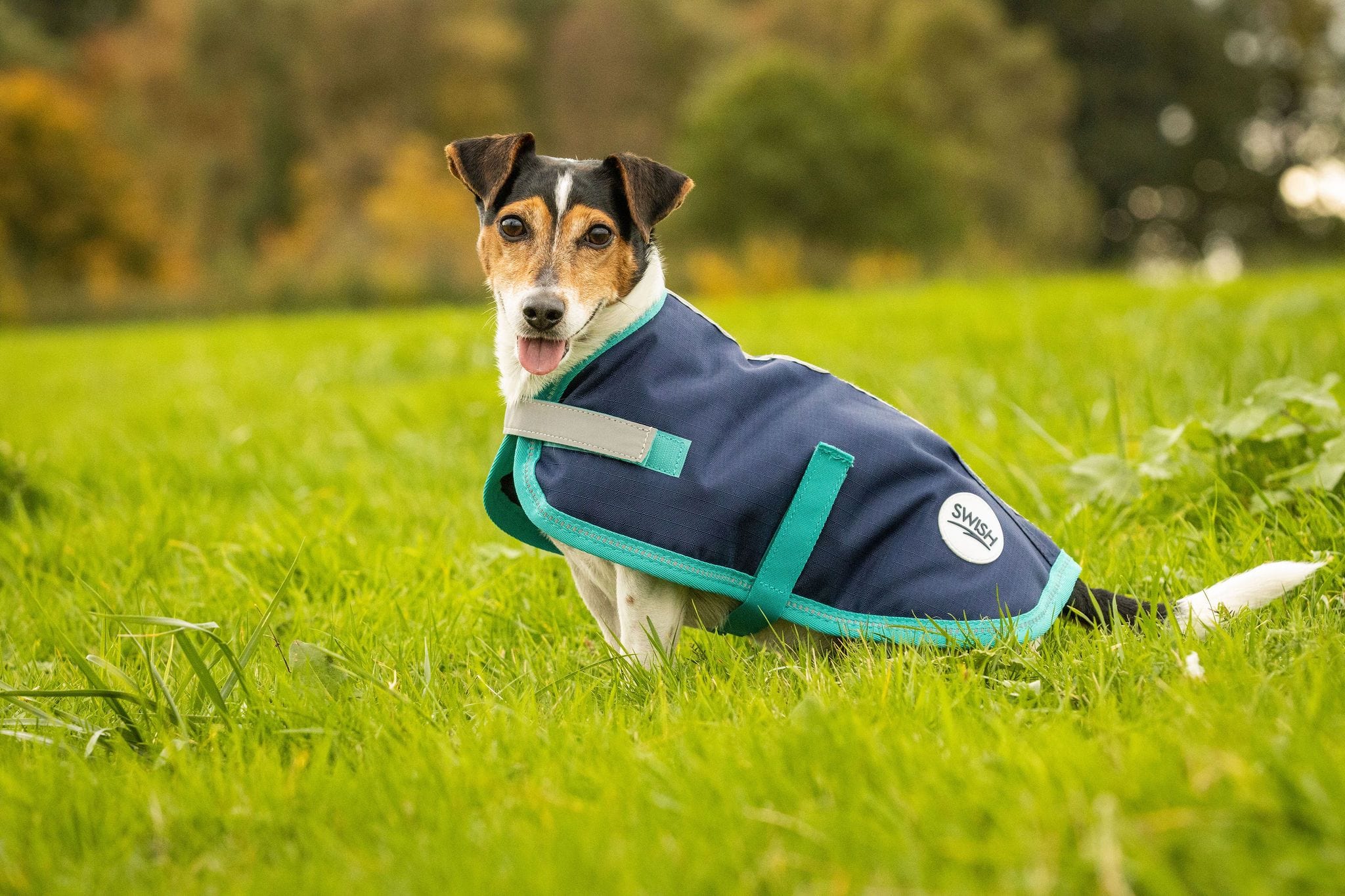 Swish Waterproof Dog Coat - Navy