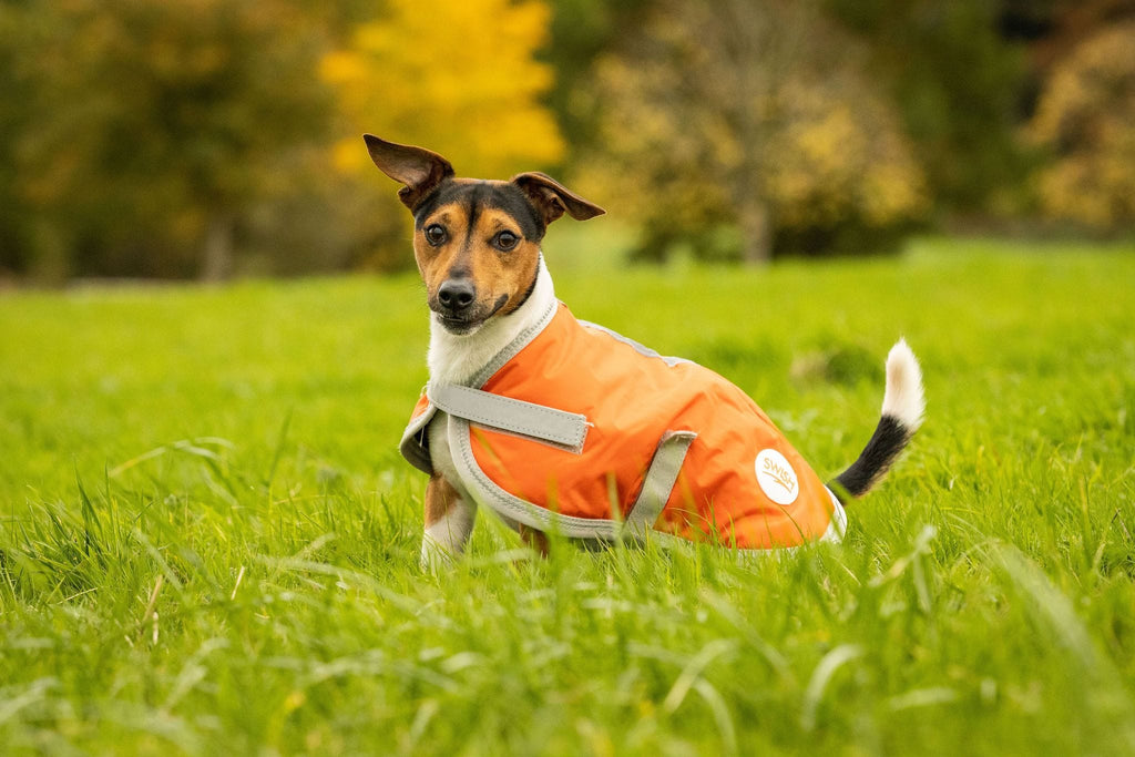 Swish Waterproof Dog Coat - Orange