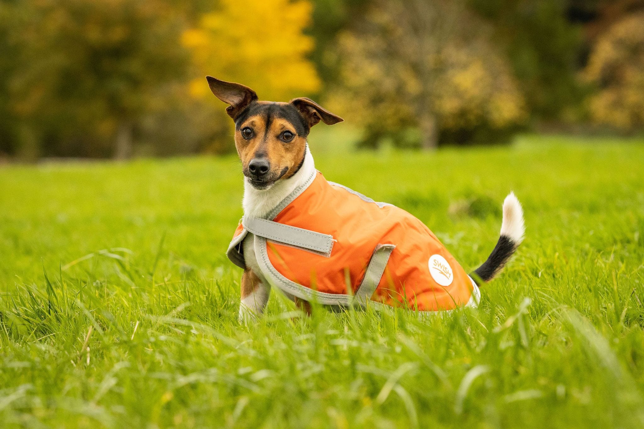Swish Waterproof Dog Coat - Orange