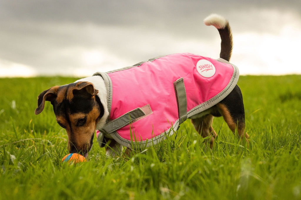 Swish Waterproof Dog Coat - Pink