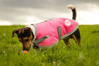Swish Waterproof Dog Coat - Pink