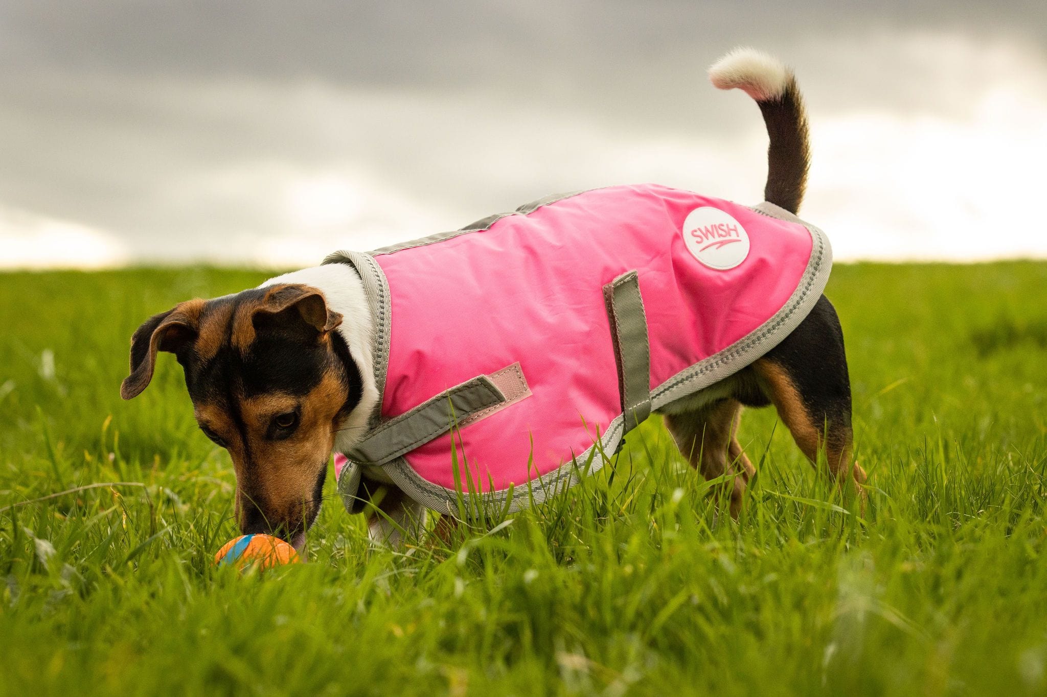 Swish Waterproof Dog Coat - Pink