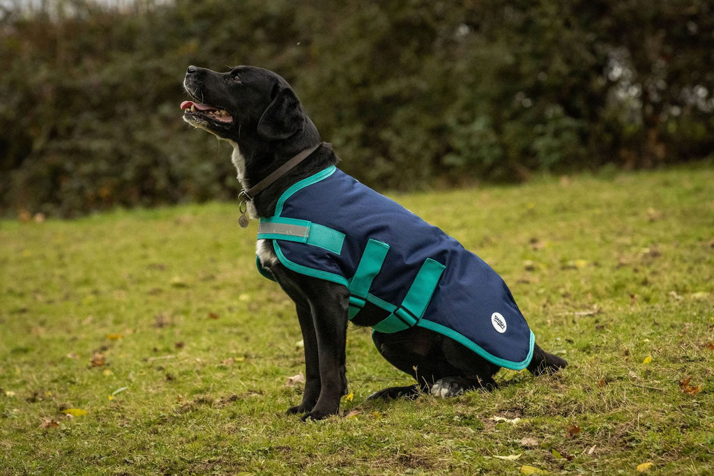 Swish Waterproof Dog Coat - Navy