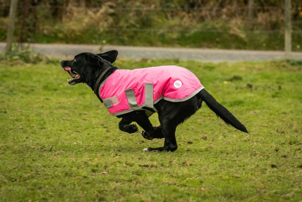Swish Waterproof Dog Coat - Pink