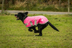 Swish Waterproof Dog Coat - Pink