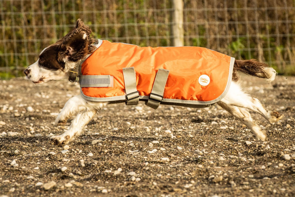 Swish Waterproof Dog Coat - Orange