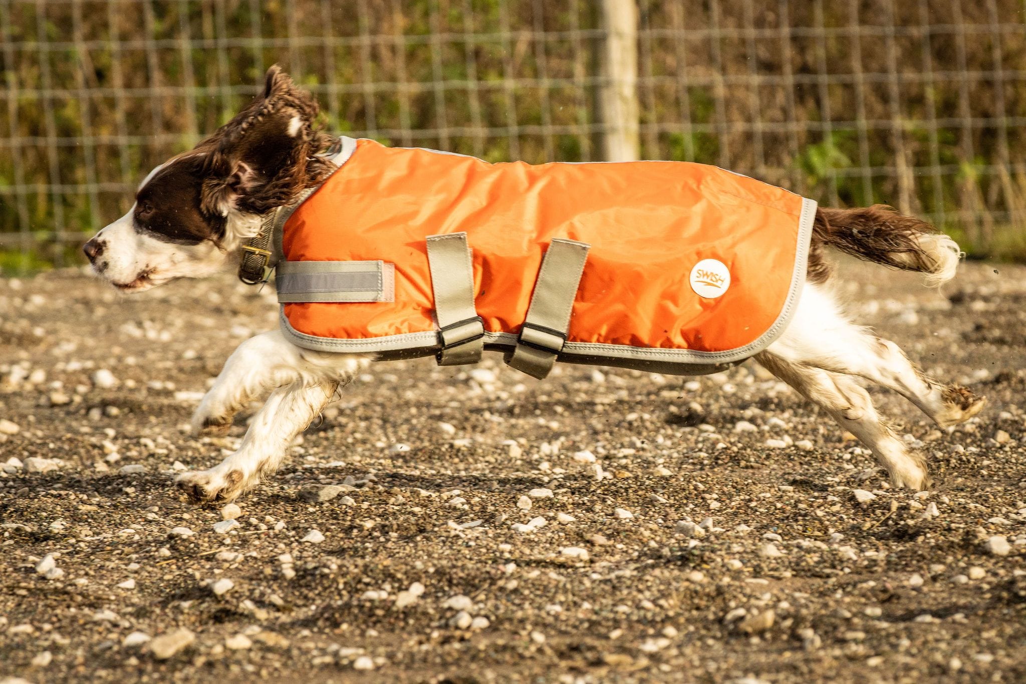 Swish Waterproof Dog Coat - Orange