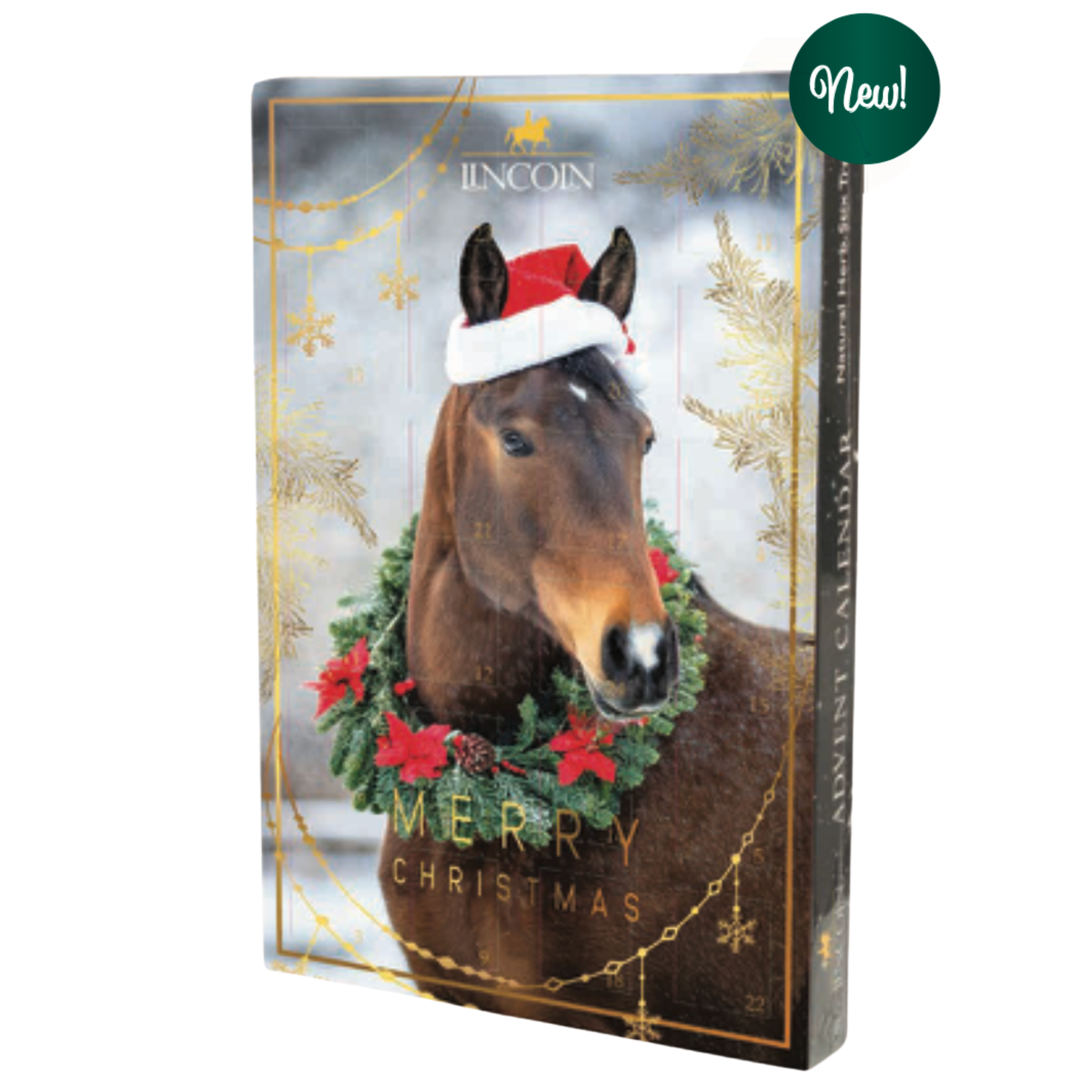 Lincoln Mince Pie Treats Christmas Advent Calendar