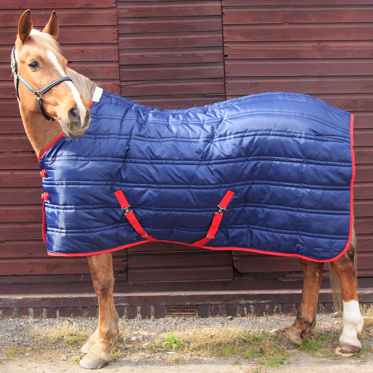 Whitaker Thomas Stable Rug 250Gm