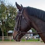 Whitaker Ready To Ride Snaffle Bridle