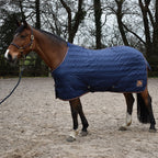 Whitaker Pippa Stable Rug 100Gm