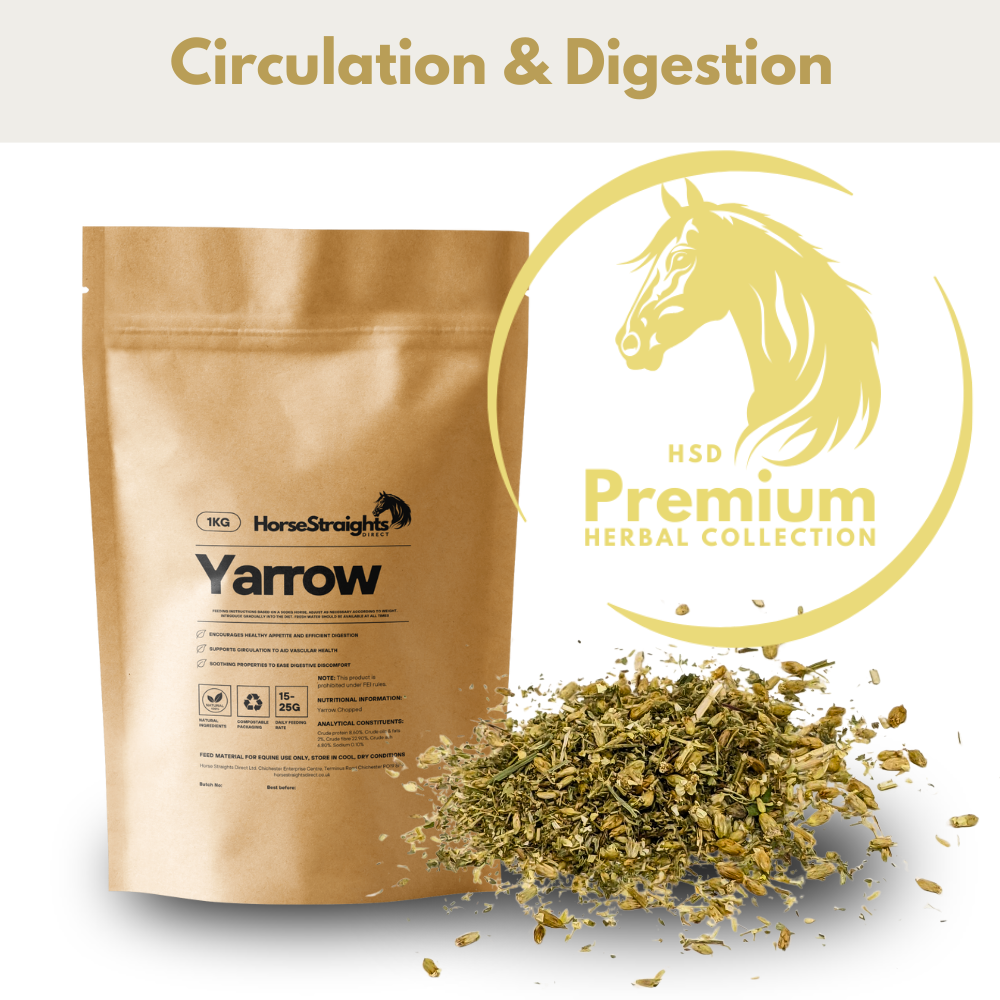 HSD Yarrow