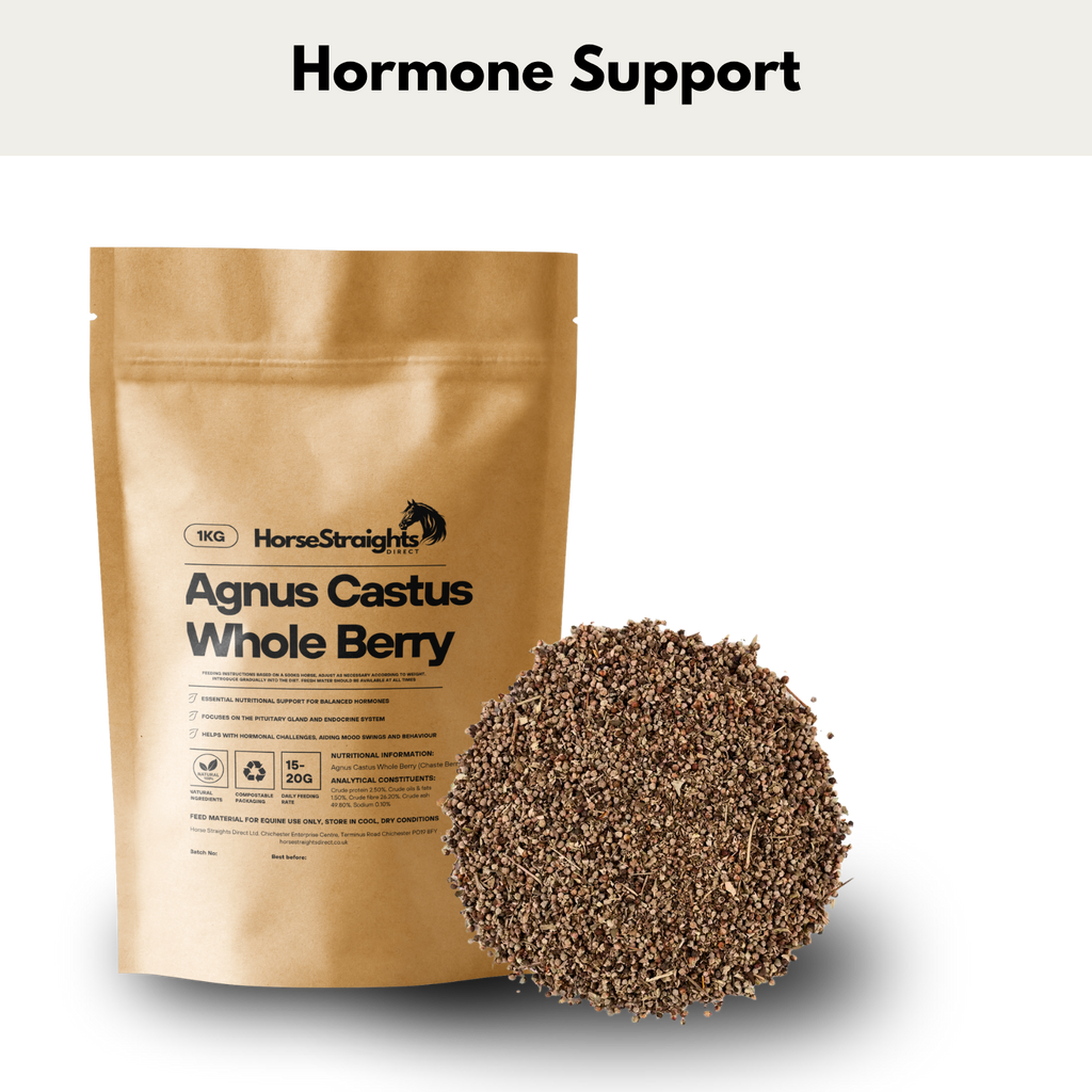 HSD Agnus Castus - Chaste Tree - Whole Berry