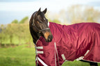 Swish 100G Detachable Neck Turnout Rug - Burgundy