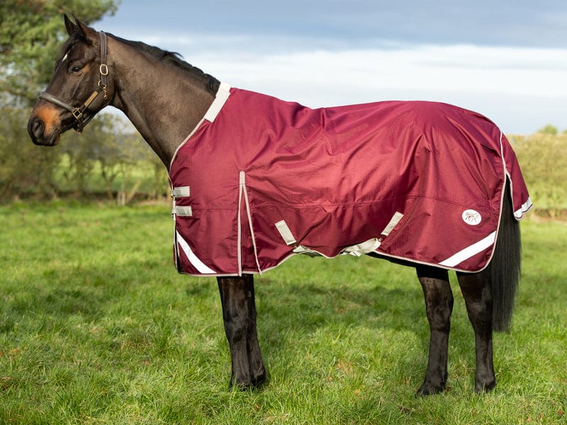 Swish 450G Ultimate Heavyweight Turnout Rug With Detachable Neck - Burgundy