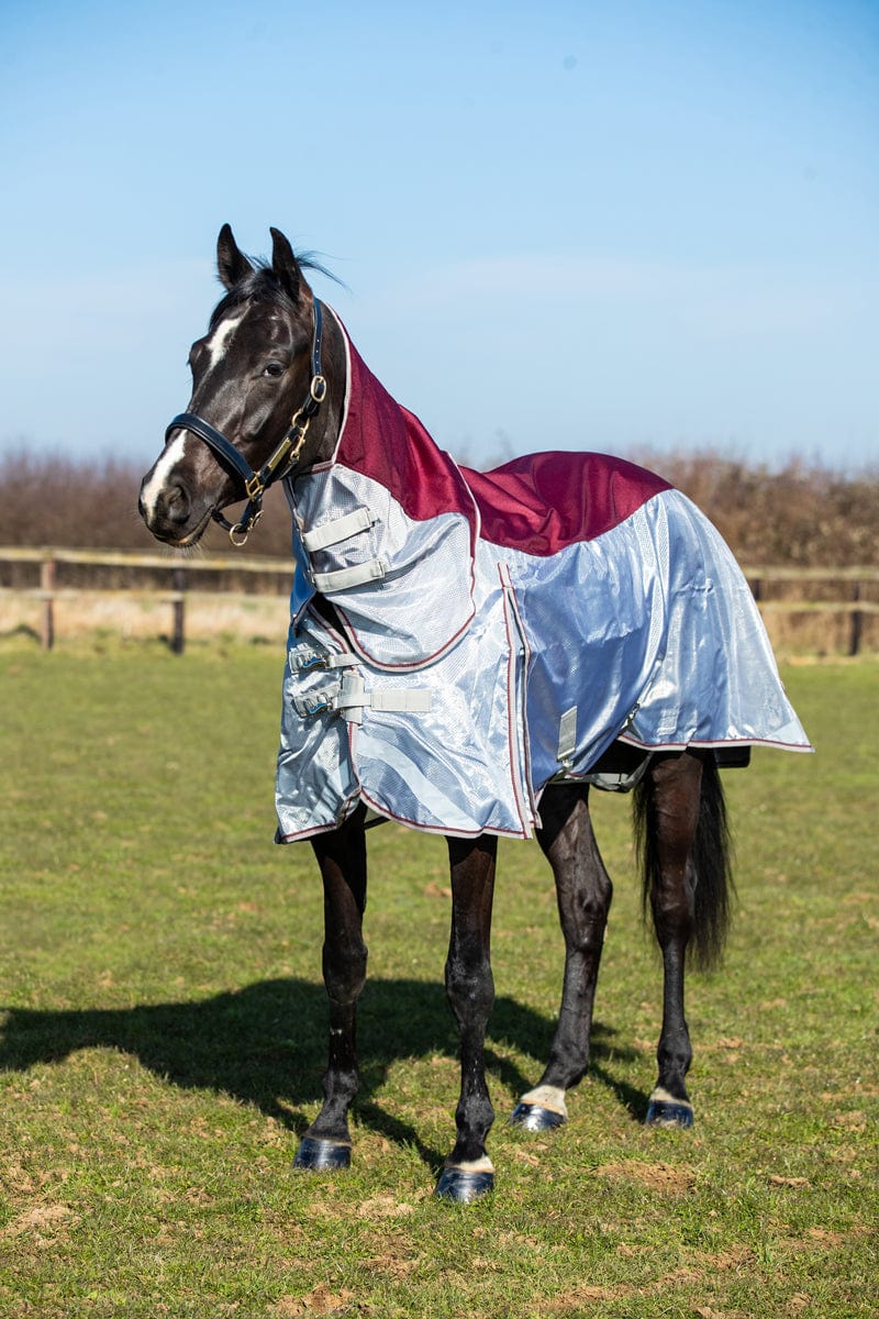Swish Fly Turnout Combination Rug -Burgundy