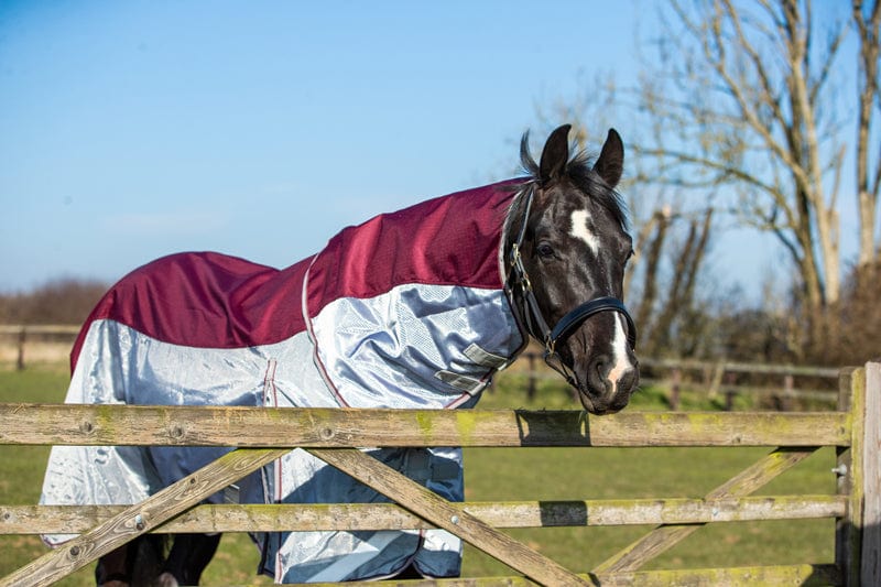 Swish Fly Turnout Combination Rug -Burgundy