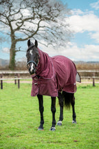Swish Mesh Fly Rug - Burgundy