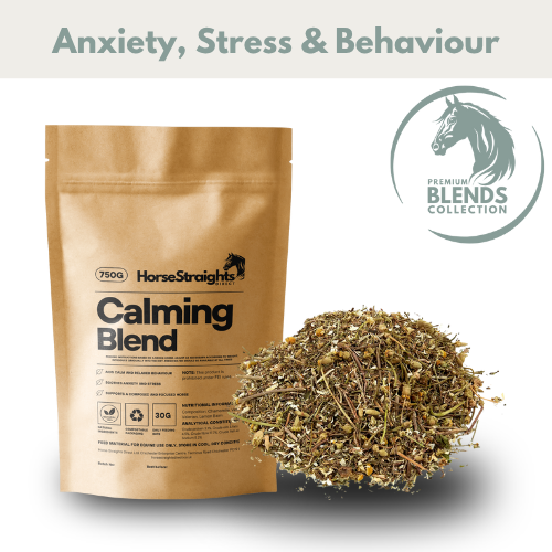 HSD Calming Blend
