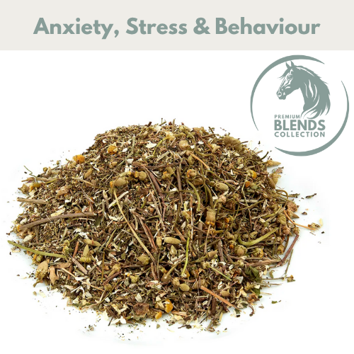 HSD Calming Blend