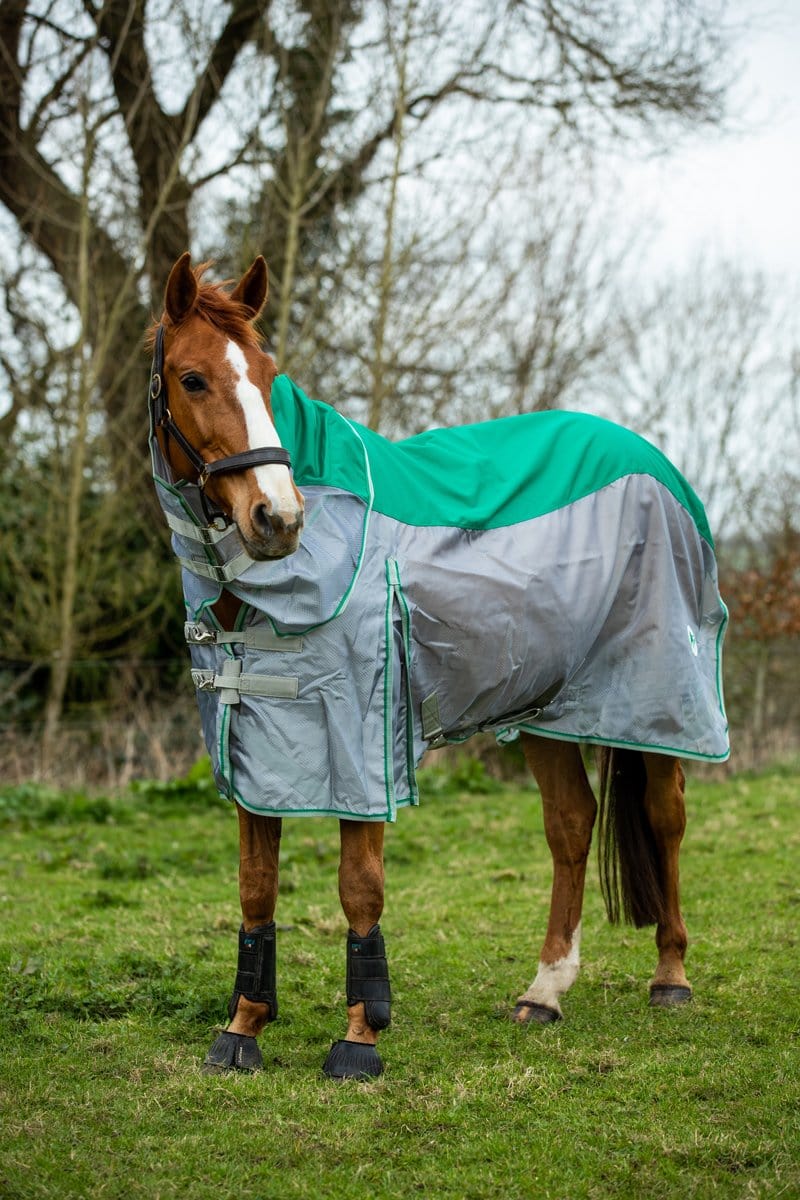 Swish Fly Turnout Combination Rug (Mesh) - Green
