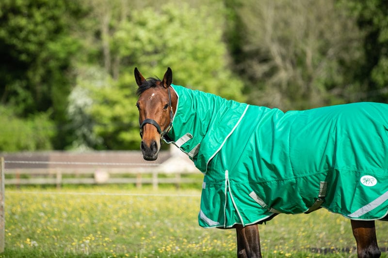Swish 200G Detachable Neck Turnout Rug - Green
