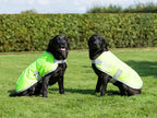 Swish Waterproof Dog Coat - High Viz Yellow
