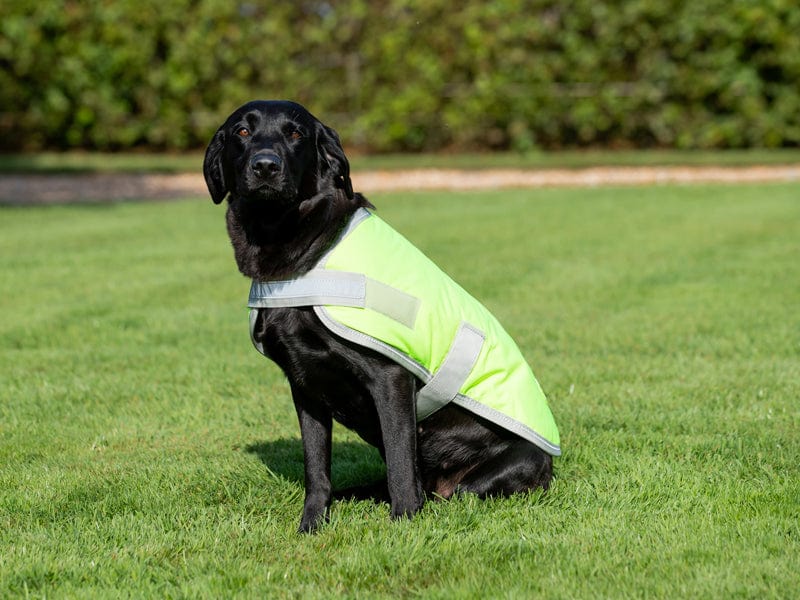 Swish Waterproof Dog Coat - High Viz Yellow