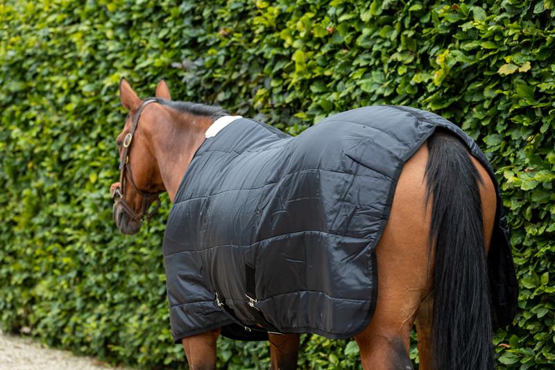 Swish 100G Horse Under Rug With Surcingles