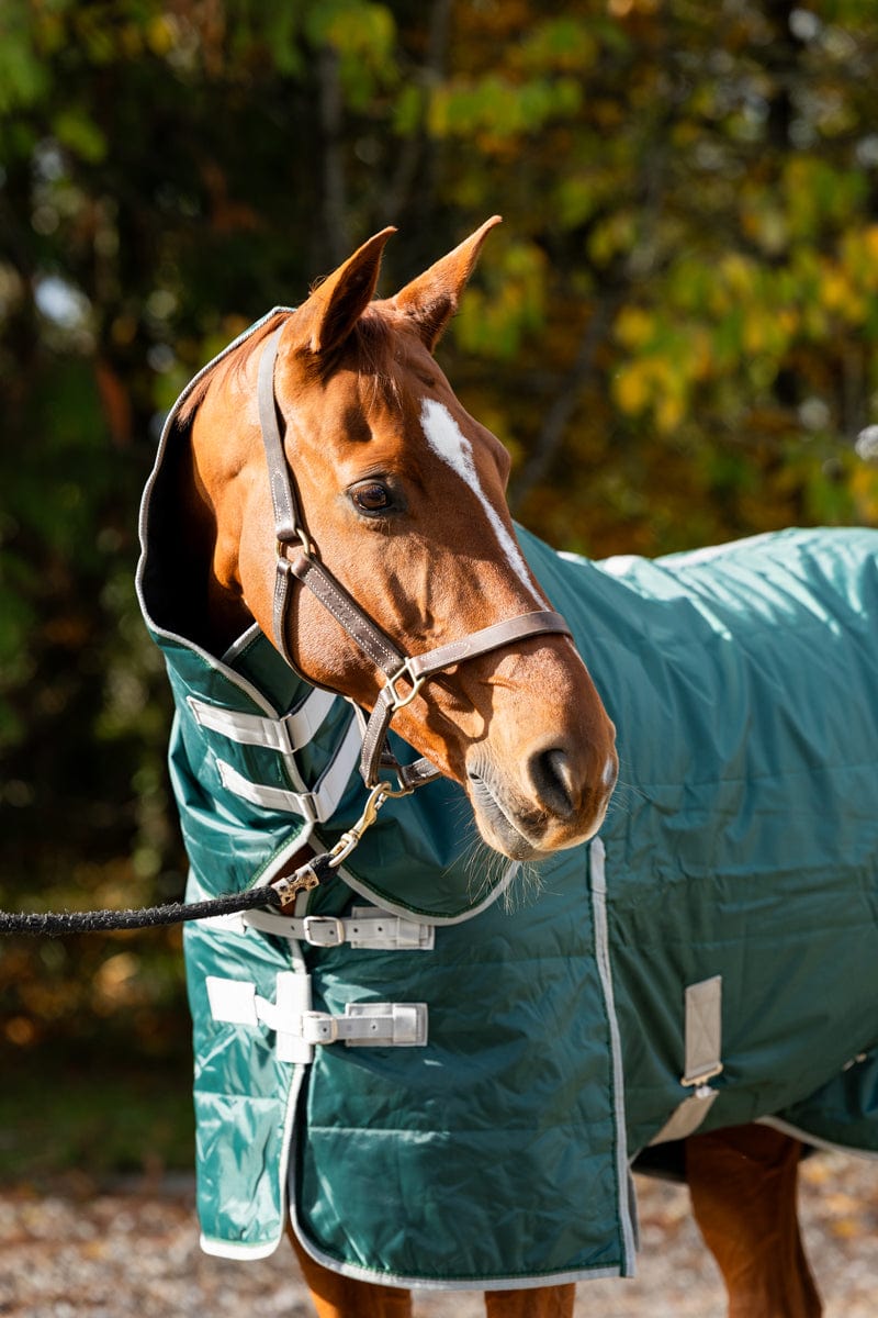 Swish 100G Stable Rug With Detachable Neck - Hunter Green