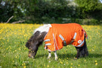 Swish Mini 50G Turnout Rug - Orange