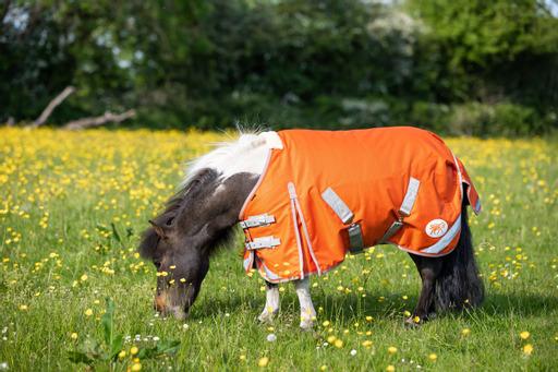 Swish Mini 50G Turnout Rug - Orange