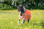 Swish Mini 50G Turnout Rug - Orange