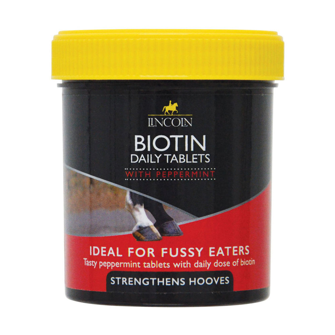 Lincoln Biotin Daily Tablets