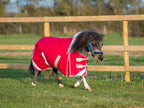 Swish Mini 200G Turnout Rug - Red
