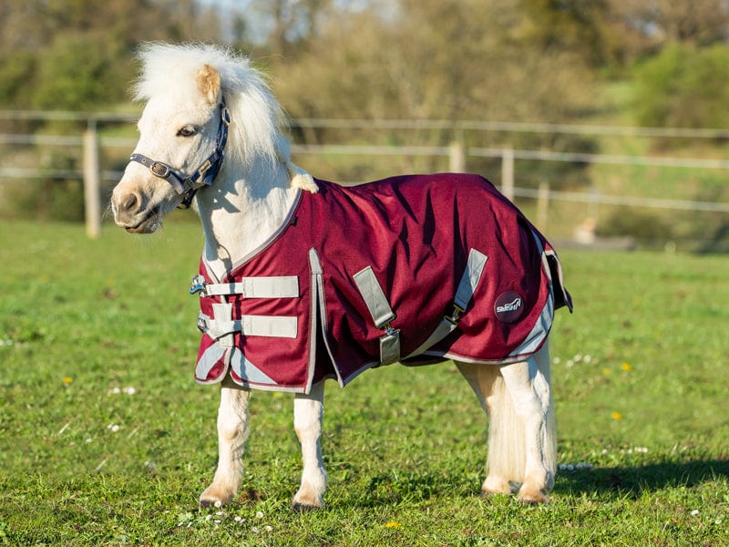 Swish Mini 0G Turnout Rug - Burgundy