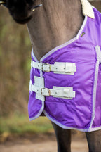 Swish Mini 100G Stable Rug - Purple