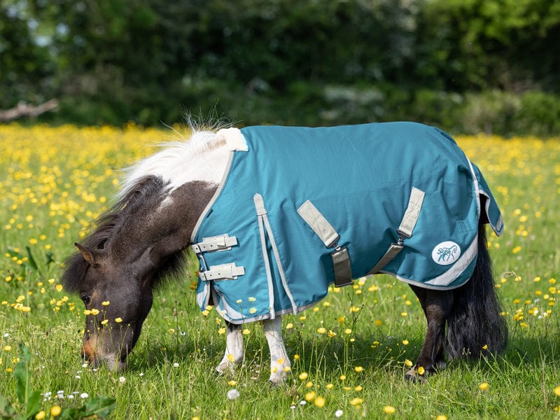 Swish Mini 0G Turnout Rug - Turquoise