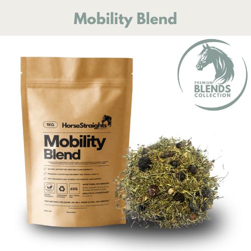HSD Mobility Blend