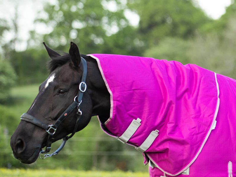 Swish 200G Mulberry Turnout Rug Neck Cover