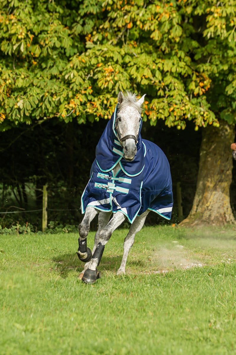 Swish 100G Detachable Neck Turnout Rug - Navy