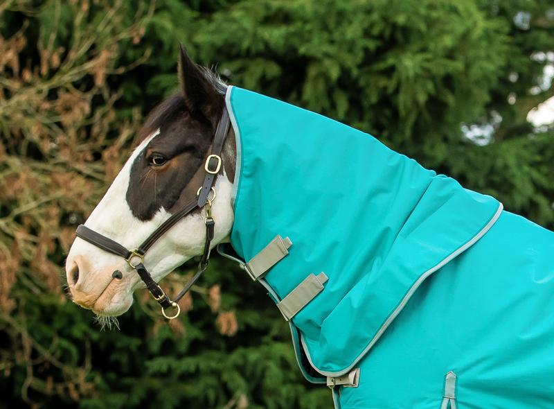 Swish 100G Peppermint Turnout Rug Neck Cover